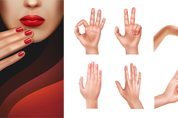 Fingers of the Hands