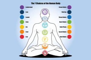 Chakras in Our Body