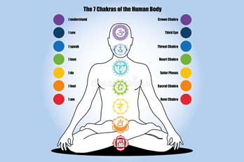 Chakras in Our Body